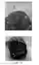 Fig. 10 - FIBRINOGEN-BASED TISSUE ADHESIVE PATCHES