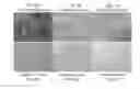 Fig. 06 - Stem Cell Seeded Natural Substrates and Methods Relating Thereto