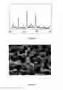 Fig. 02 - Osteoinductive calcium phosphates