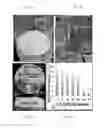 Fig. 06 - Amorphous silicon oxide, amorphous silicon oxynitride, and amorphous silicon nitride thin films and uses thereof