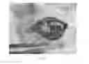 Fig. 15 - Amorphous silicon oxide, amorphous silicon oxynitride, and amorphous silicon nitride thin films and uses thereof