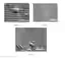 Fig. 25 - Amorphous silicon oxide, amorphous silicon oxynitride, and amorphous silicon nitride thin films and uses thereof