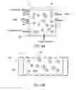 Fig. 06 - METHODS FOR IN VIVO AND IN VITRO USE OF GRAPHENE AND OTHER TWO-DIMENSIONAL MATERIALS