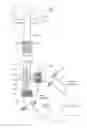 Fig. 01 - Filling and recirculation device for a liquid system of an extracorporeal blood treatment device