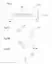 Fig. 04 - Display assembly for a drug delivery device