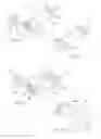 Fig. 08 - SYRINGES