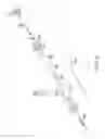 Fig. 10 - Carboxy therapy applicator