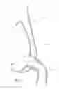 Fig. 03 - Flexible mask coupling