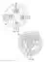 Fig. 05 - Medical device control handle