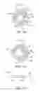 Fig. 13 - METHOD AND APPARATUS FOR ELECTRICAL STIMULATION THERAPY