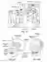 Fig. 21 - TRANSCRANIAL MAGNETIC STIMULATION FOR IMPROVED ANALGESIA