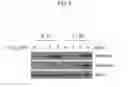 Fig. 09 - METHOD FOR SKIN IMPROVEMENT USING LOW-DOSE RADIATION