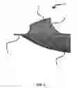 Fig. 03 - Aquatic swim training devices