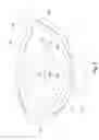 Fig. 10 - GOLF CLUB HEAD