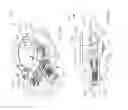 Fig. 10 - Motorized vehicle