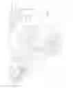 Fig. 13 - Motorized vehicle