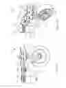 Fig. 16 - Motorized vehicle