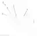 Fig. 03 - TAP AND AERATOR APPARATUS