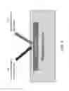 Fig. 04 - Multiplexed surface enhanced Raman sensors for early disease detection and in-situ bacterial monitoring
