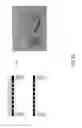 Fig. 22 - Multiplexed surface enhanced Raman sensors for early disease detection and in-situ bacterial monitoring