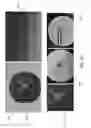 Fig. 31 - Multiplexed surface enhanced Raman sensors for early disease detection and in-situ bacterial monitoring