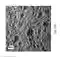 Fig. 05 - Nanoporous thin film and method for fabricating the same