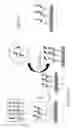 Fig. 08 - Packaging for multiplexed assays