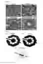 Fig. 08 - SYSTEMS AND METHODS FOR SINGLE CELL ISOLATION AND ANALYSIS