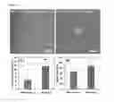 Fig. 11 - SYSTEMS AND METHODS FOR SINGLE CELL ISOLATION AND ANALYSIS