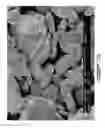 Fig. 11 - Planetary mill and method of milling
