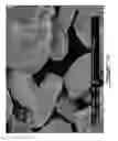Fig. 12 - Planetary mill and method of milling