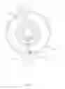 Fig. 09 - Impingement sprinkler