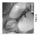 Fig. 13 - FUNCTIONALIZED CARBON MEMBRANES