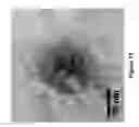 Fig. 16 - FUNCTIONALIZED CARBON MEMBRANES