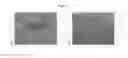 Fig. 02 - Scalable three-dimensional elastic construct manufacturing