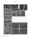 Fig. 04 - Scalable three-dimensional elastic construct manufacturing