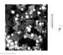 Fig. 02 - Method for synthesizing self-assembling nanoparticles