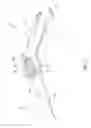Fig. 04 - Foldable hand-held tool
