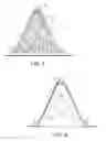 Fig. 04 - Process for forming an artificial reef