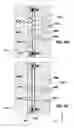 Fig. 26 - Molding system having a residue cleaning feature and an adjustable mold shut height