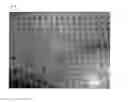 Fig. 05 - SURFACE STRUCTURES ON PRESS BELTS AND PRESS SHEETS