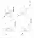 Fig. 20 - Devices and methods for starting strip material in a substrate processing machine