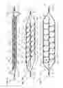 Fig. 08 - MULTI-LEVEL CELL FORMING STRUCTURES AND THEIR USE IN DISPOSABLE CONSUMER PRODUCTS