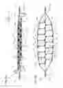 Fig. 16 - MULTI-LEVEL CELL FORMING STRUCTURES AND THEIR USE IN DISPOSABLE CONSUMER PRODUCTS