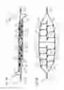 Fig. 18 - MULTI-LEVEL CELL FORMING STRUCTURES AND THEIR USE IN DISPOSABLE CONSUMER PRODUCTS