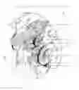 Fig. 01 - VERTICAL PLOTTER