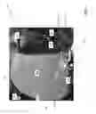 Fig. 02 - Windscreen for A Vehicle