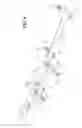 Fig. 06 - Sliding / folding soft top assembly for SUV