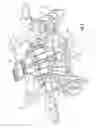 Fig. 04 - Center-pull latch mechanism