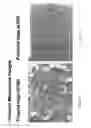 Fig. 25 - Rearview mirror assembly for vehicle